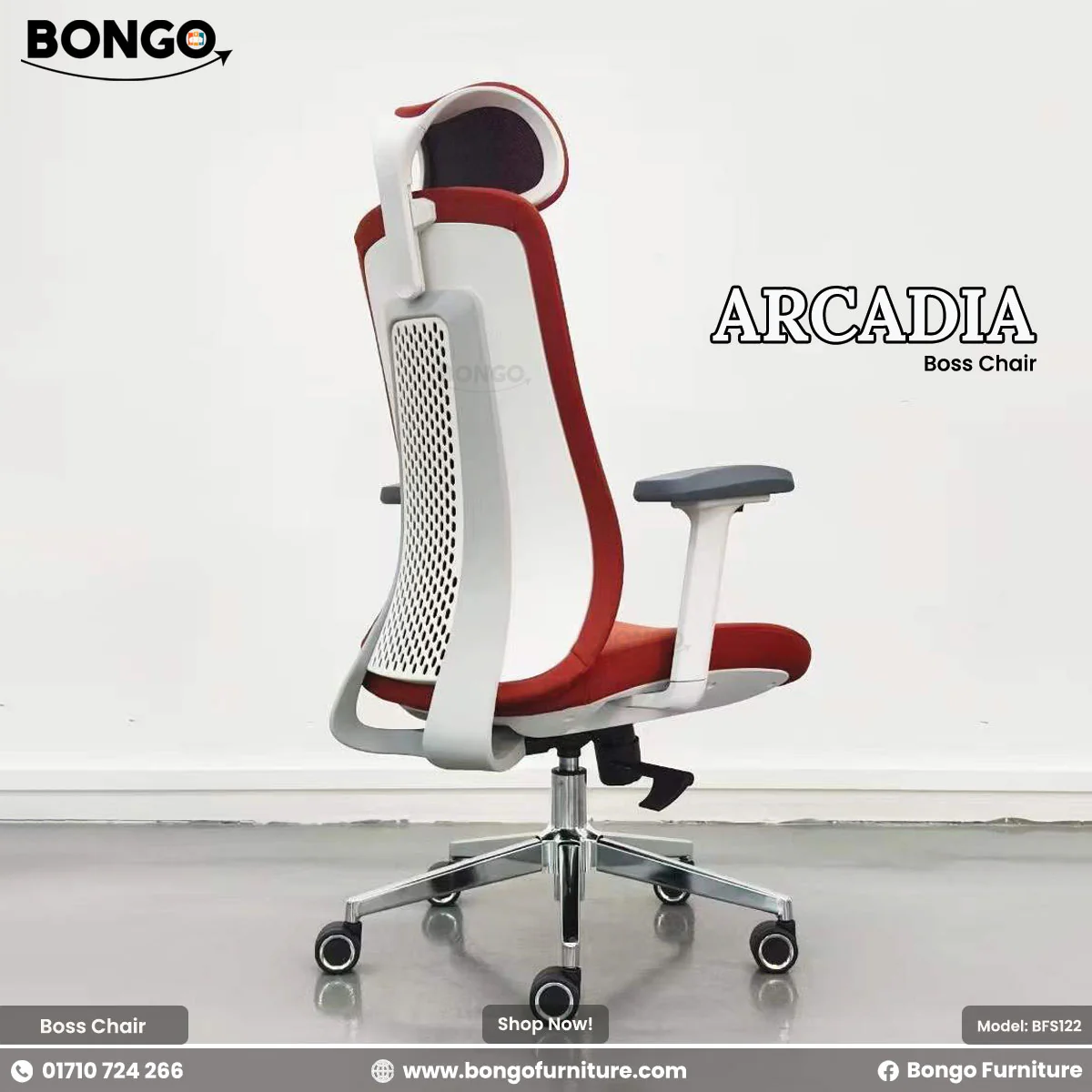 Arcadia Director Chair - BFS122 - Image 3
