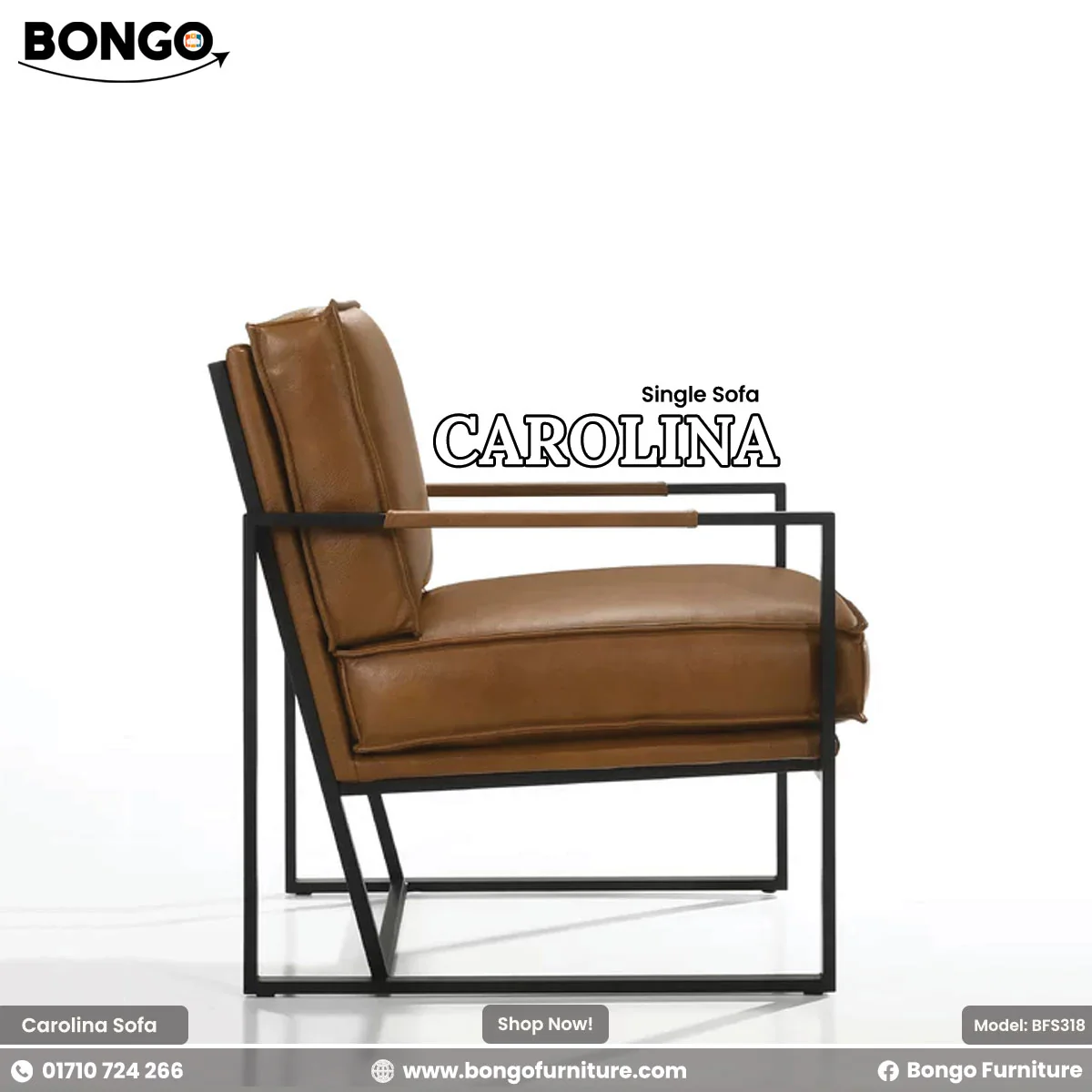 Carolina - Single Sofa | BFS318 - Image 3