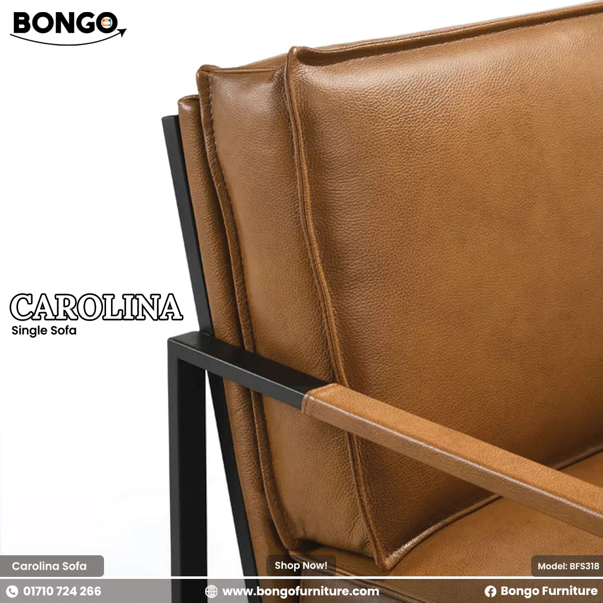Carolina - Single Sofa | BFS318 - Image 4
