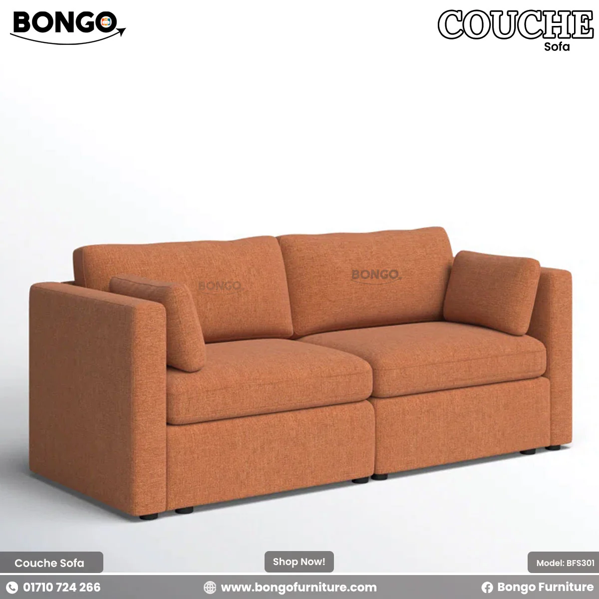 Couche Sofa - BFS301 - Image 2