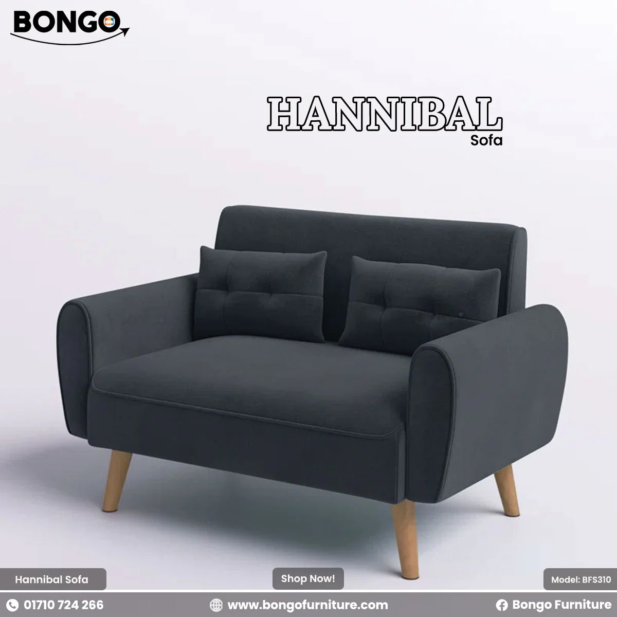 Hannibal Sofa | BFS310 - Image 6