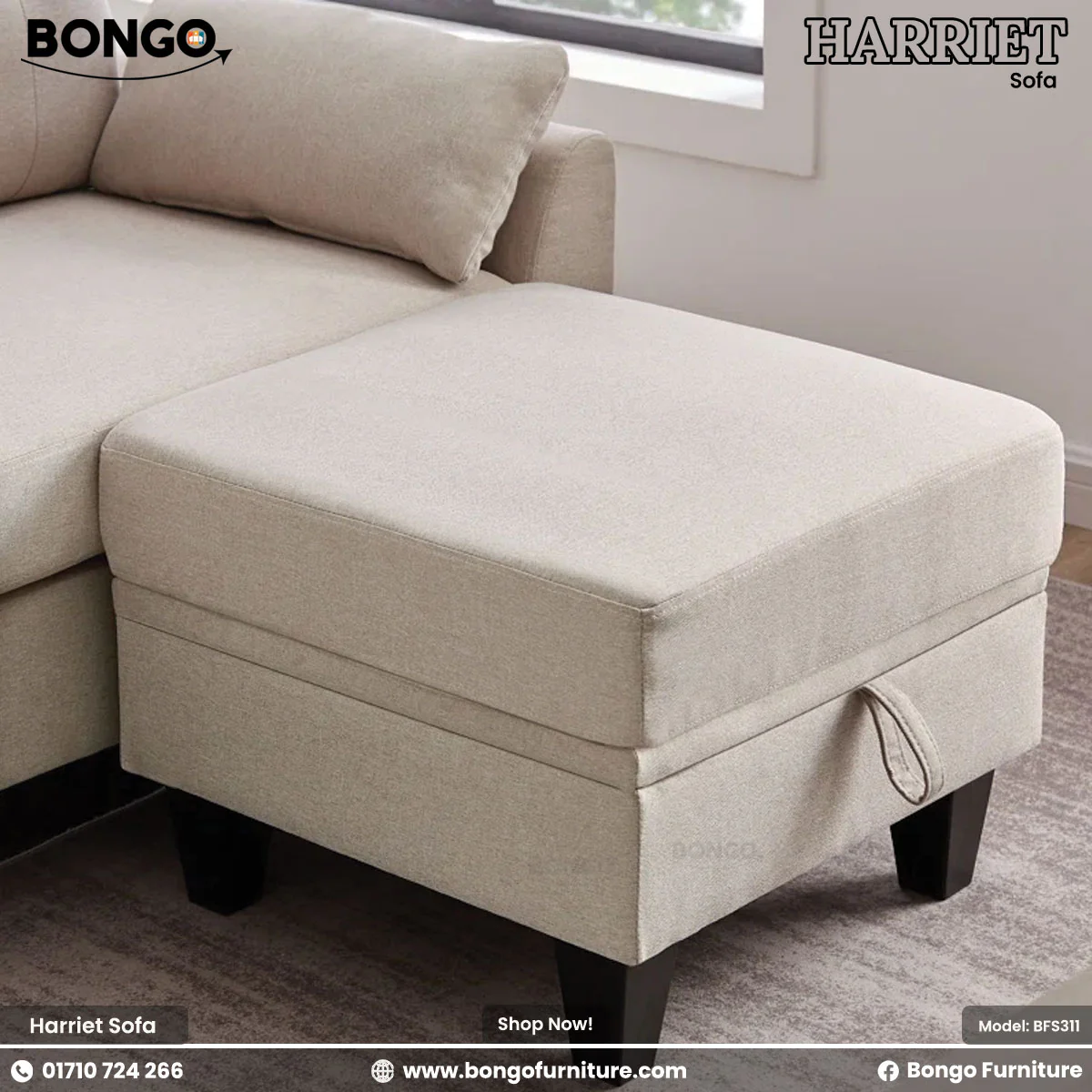 Harriet Family Sofa - BFS311 - Image 5